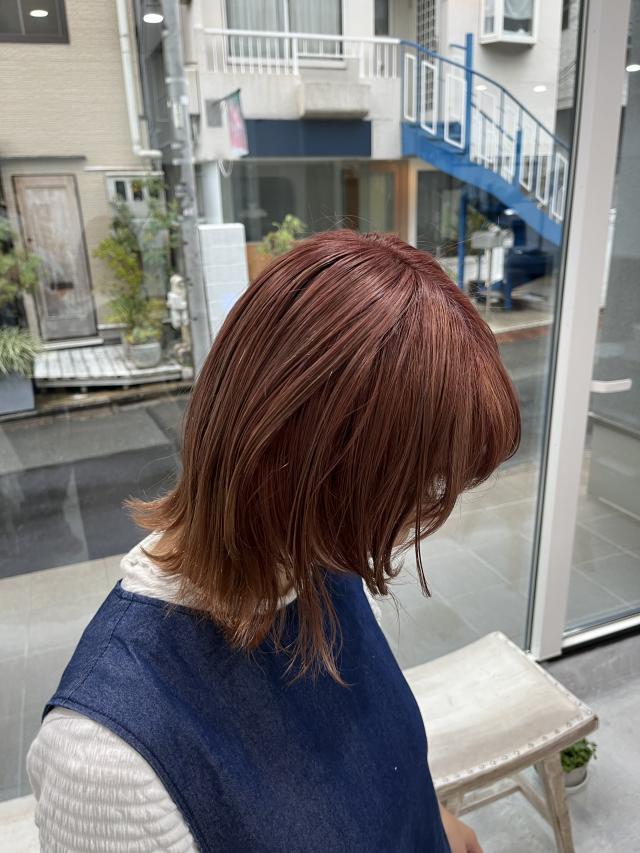 メニュー写真