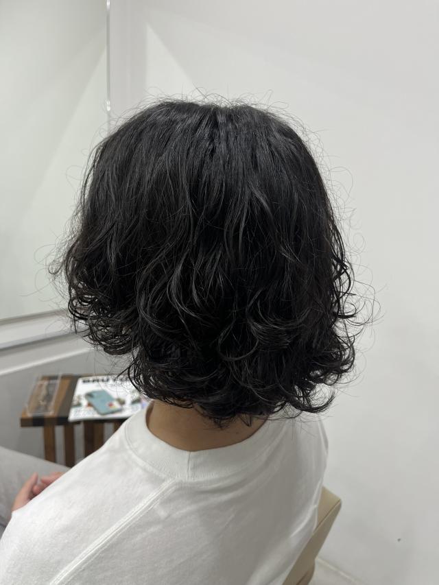 メニュー写真