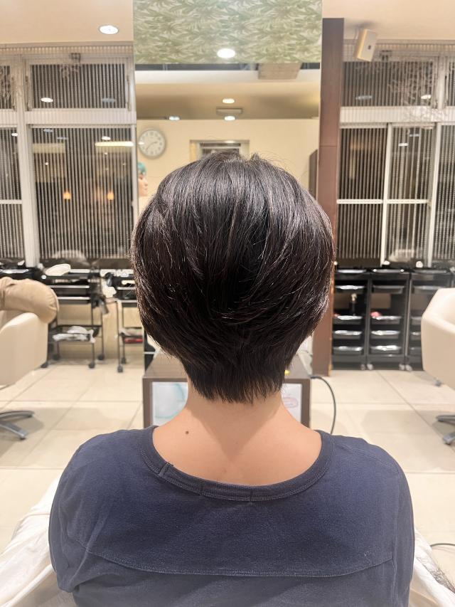 メニュー写真