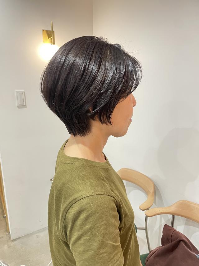メニュー写真