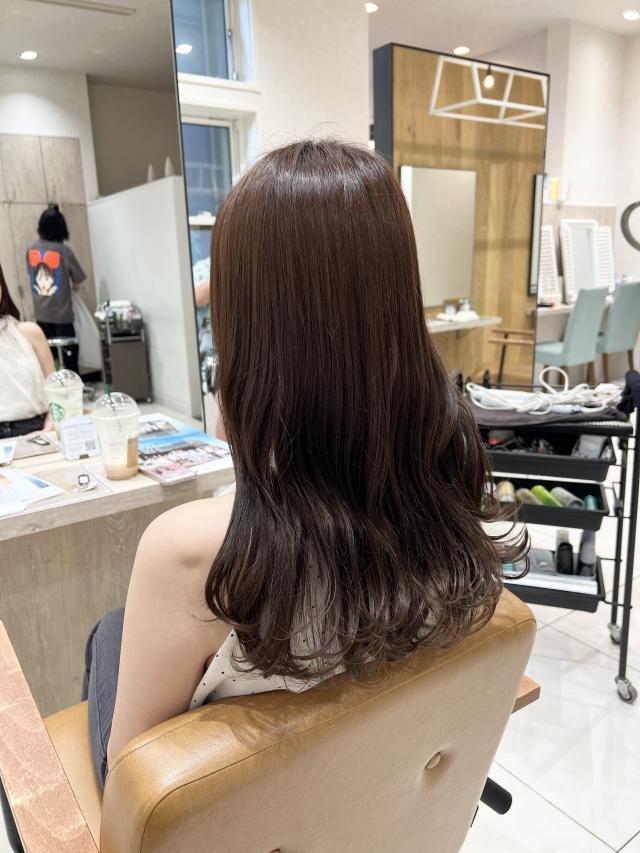 メニュー写真