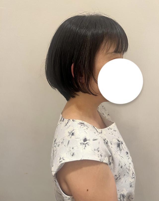 のスタイル画像