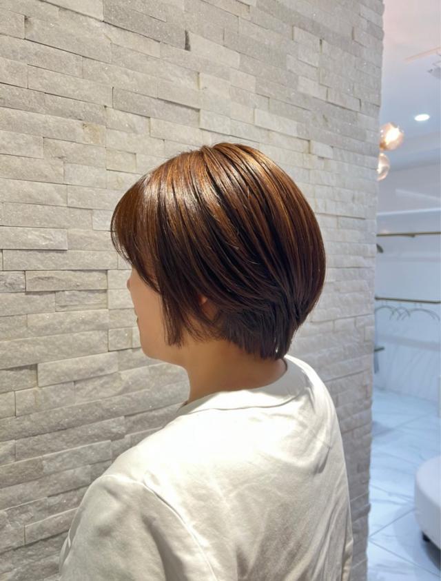 のスタイル画像