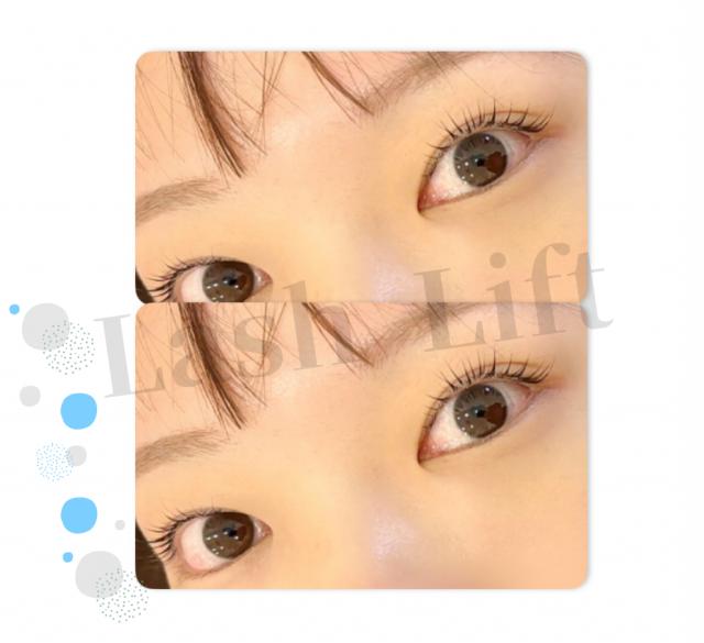 メニュー写真