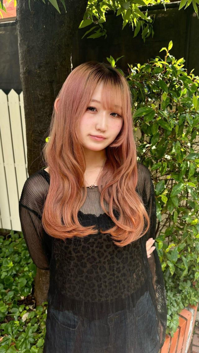 メニュー写真