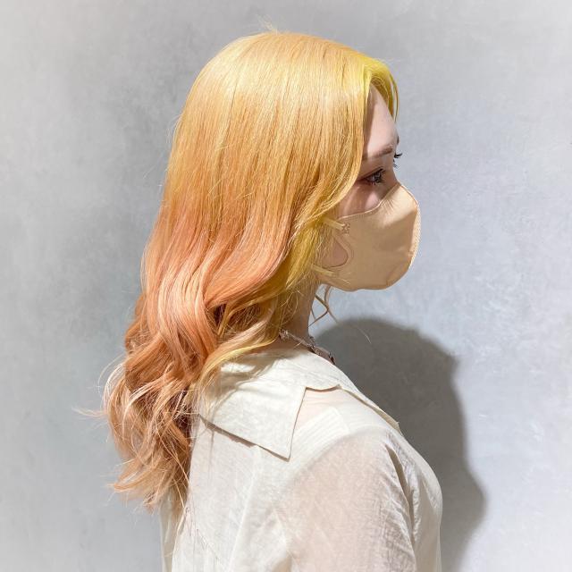 メニュー写真