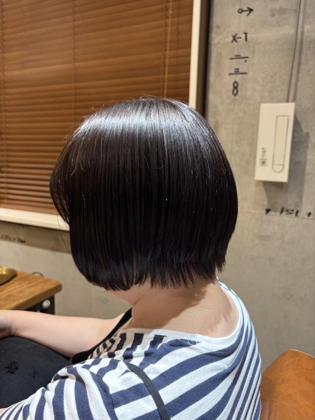 のスタイル画像