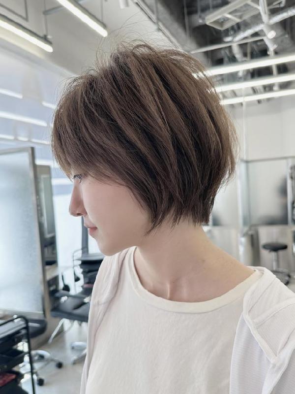 のスタイル画像