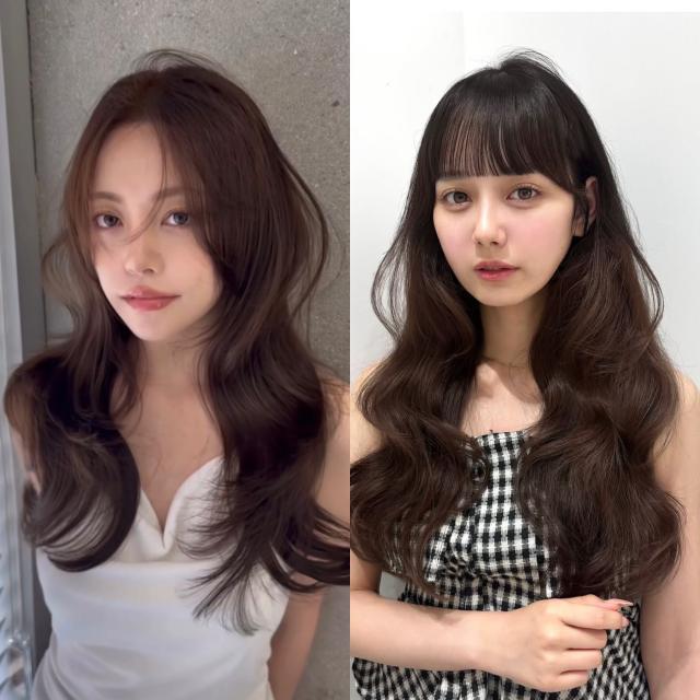 メニュー写真