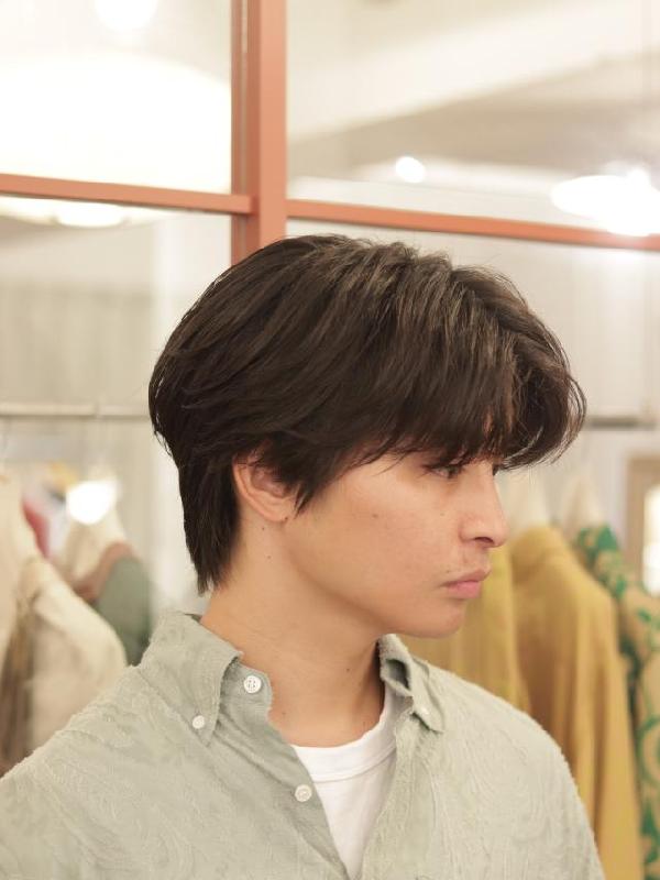 のスタイル画像