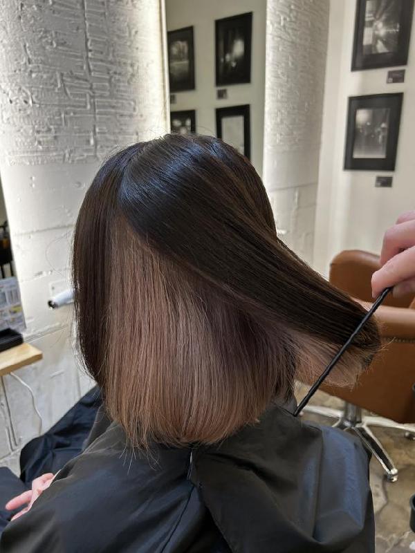 のスタイル画像