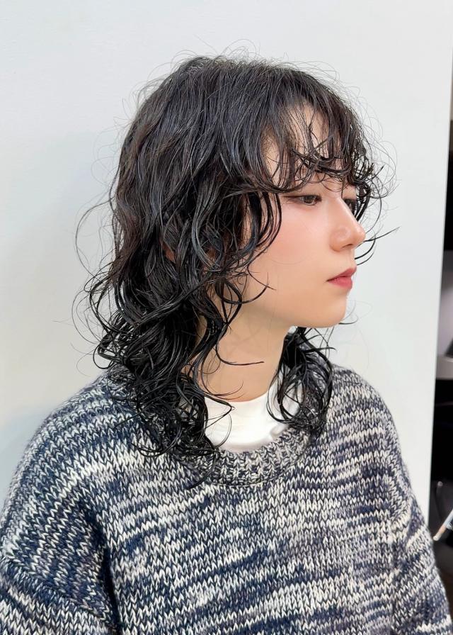 のスタイル画像