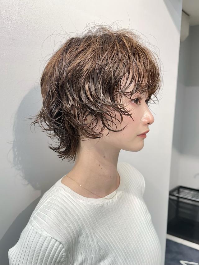 のスタイル画像