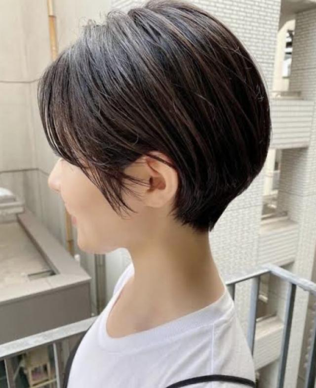 メニュー写真