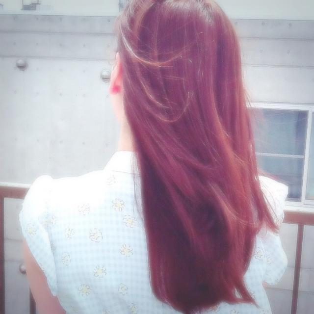 メニュー写真