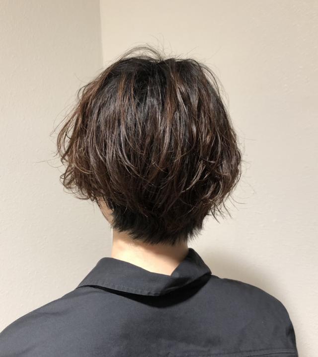 メニュー写真