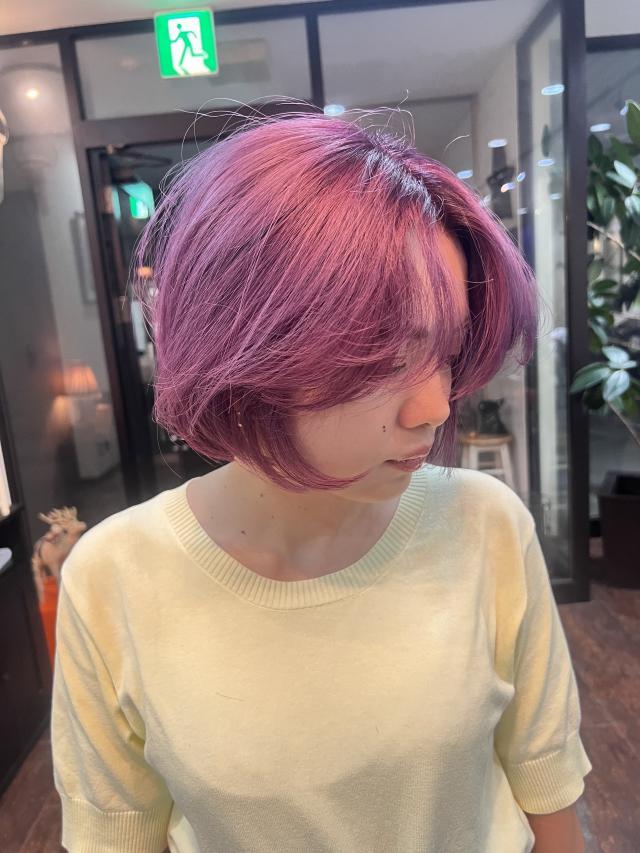 メニュー写真