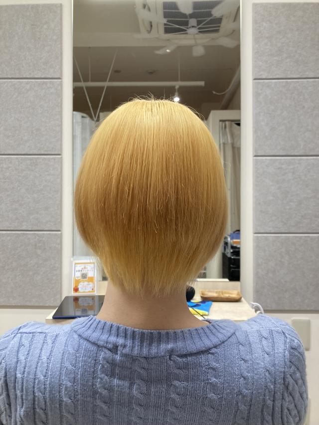 メニュー写真