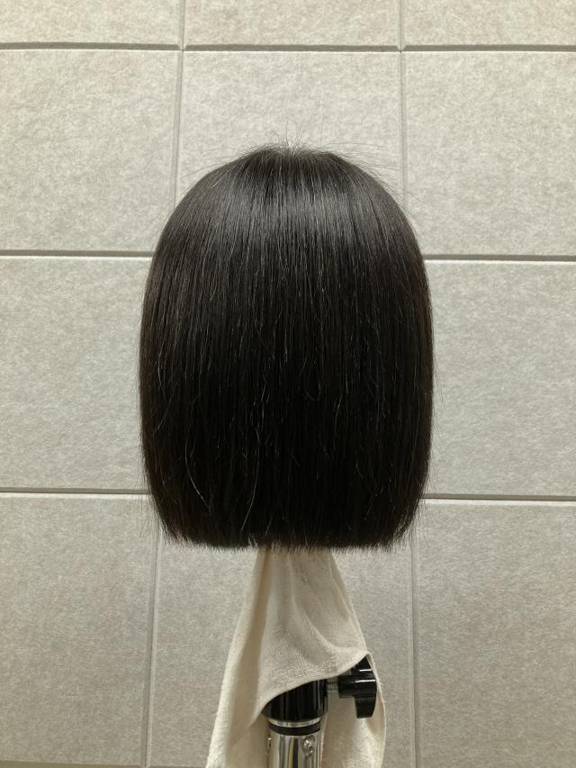 メニュー写真