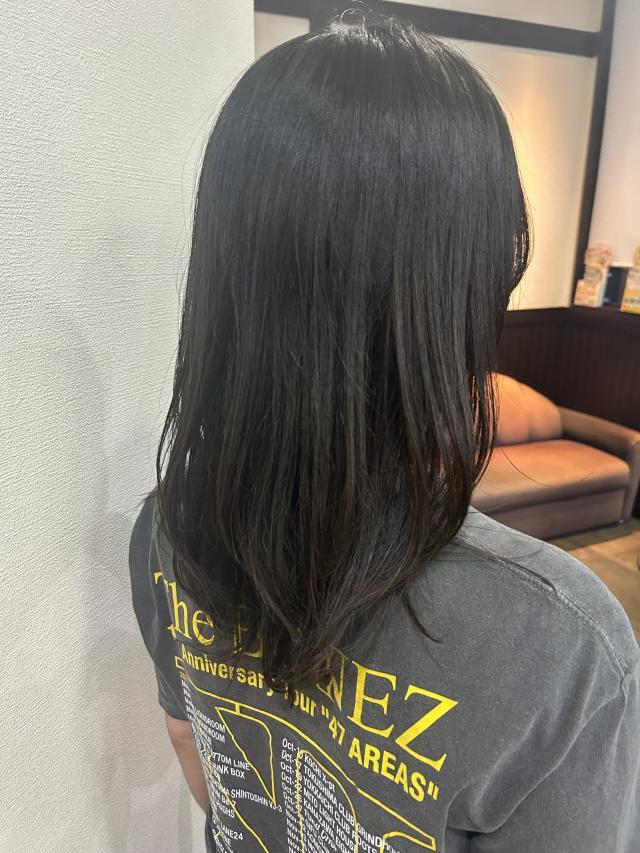 のスタイル画像