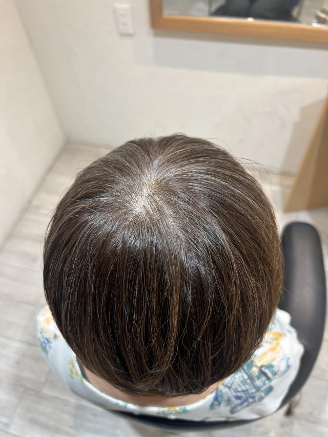 のスタイル画像