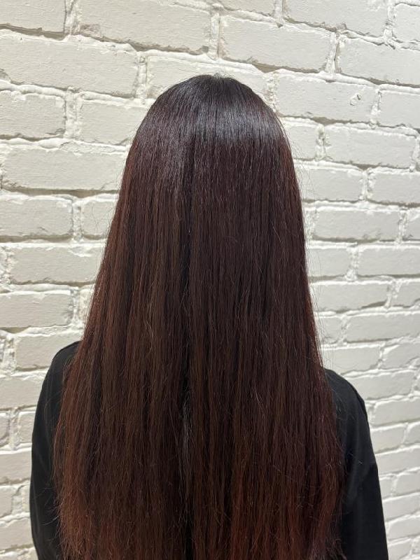 のスタイル画像