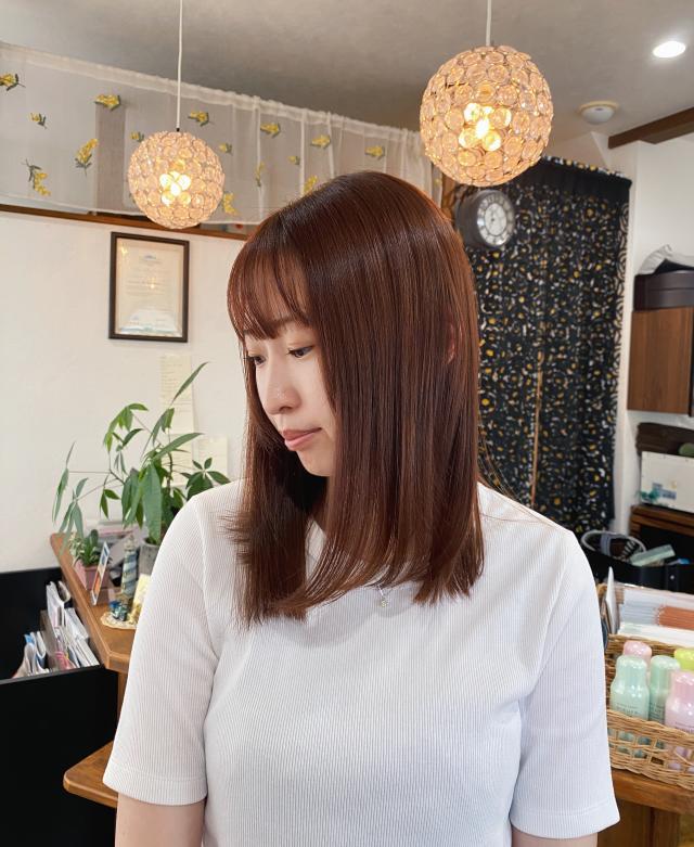 メニュー写真