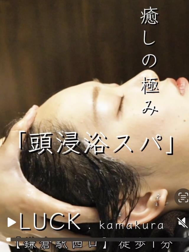 メニュー写真