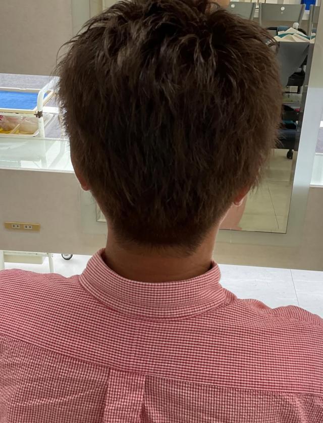 のスタイル画像