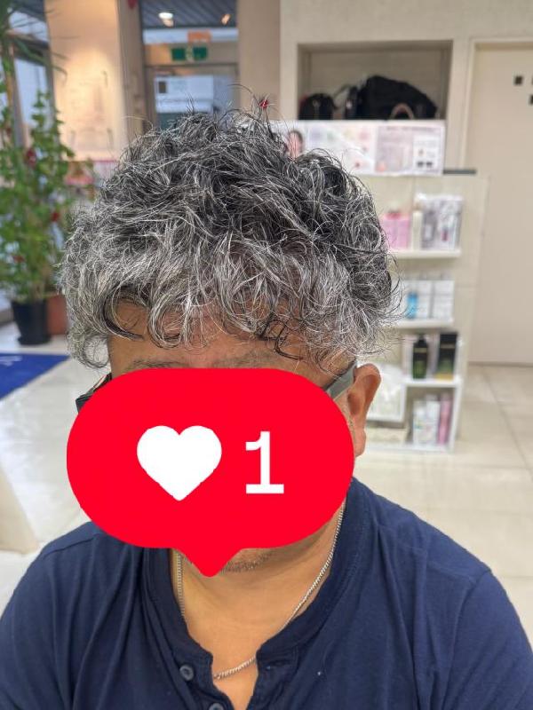 のスタイル画像