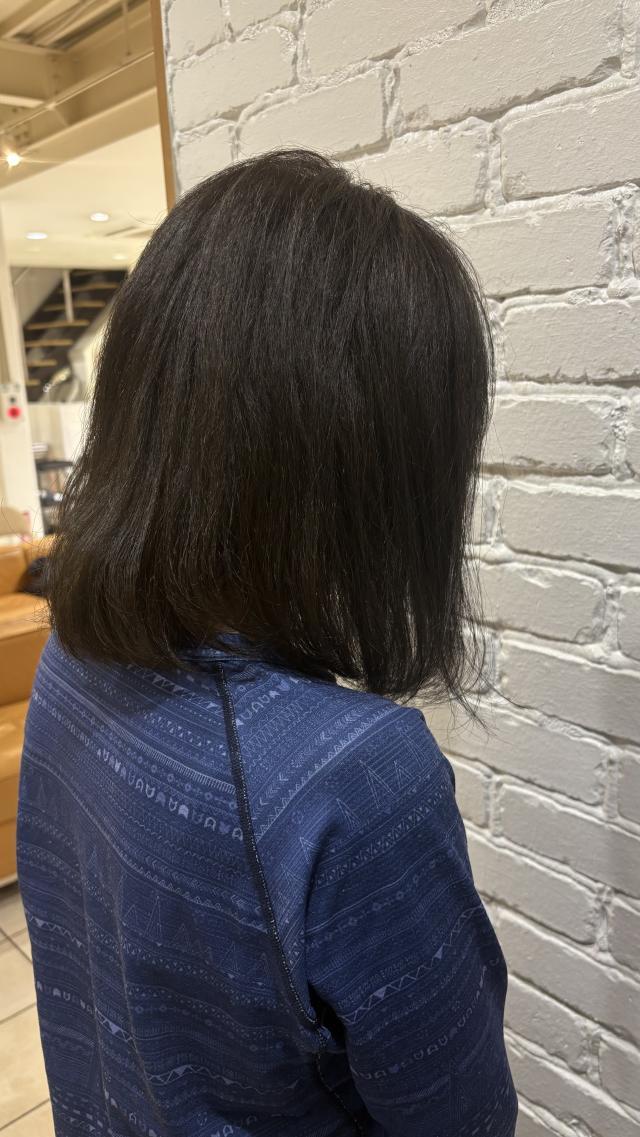 のスタイル画像