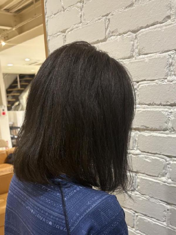 のスタイル画像