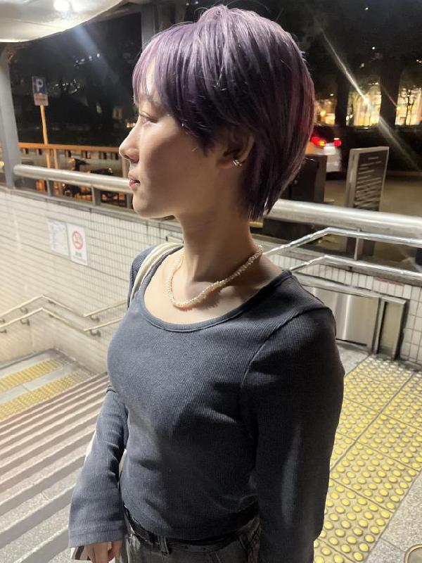 のスタイル画像