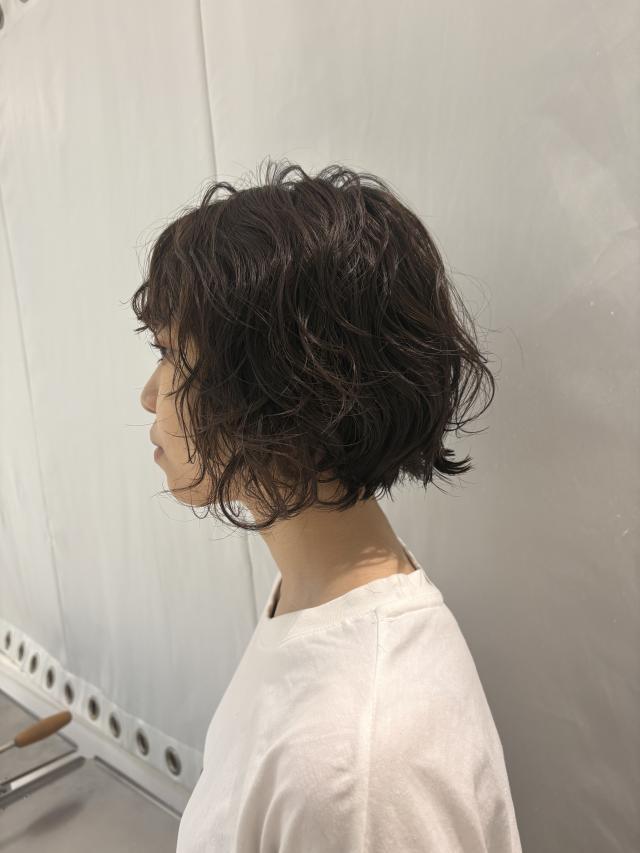 のスタイル画像