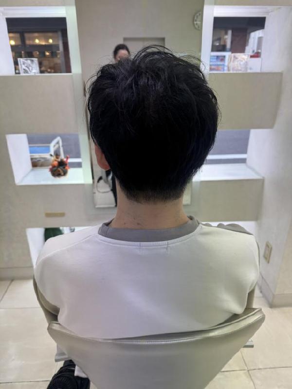 のスタイル画像