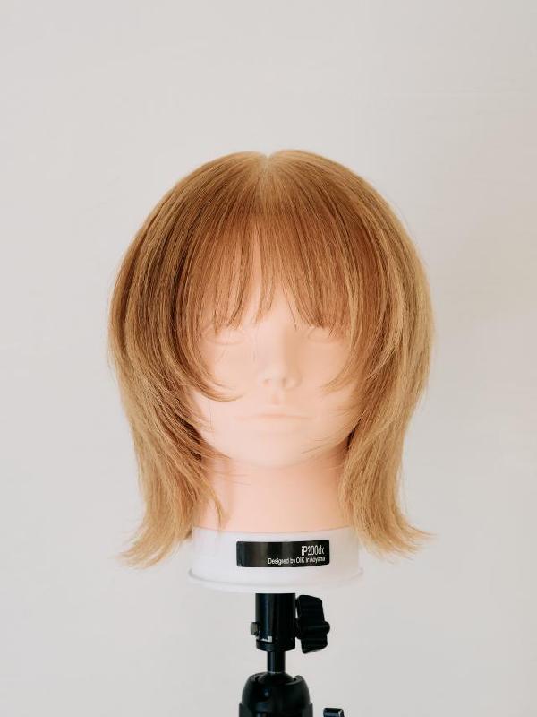 のスタイル画像