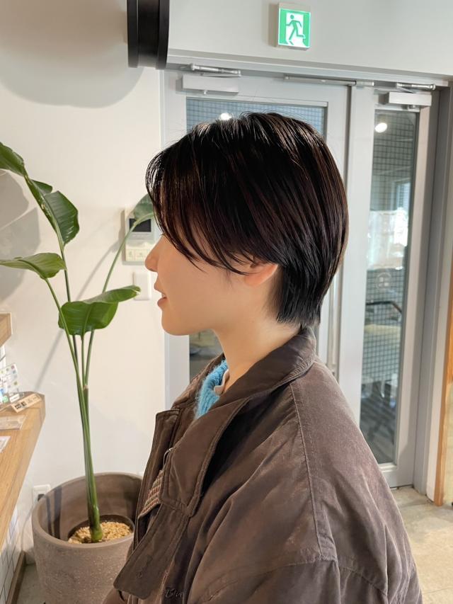 のスタイル画像