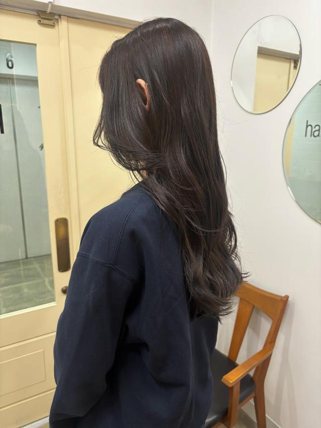 メニュー写真