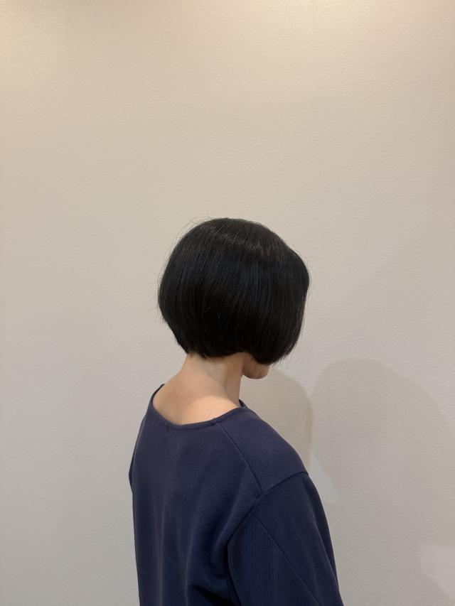 のスタイル画像