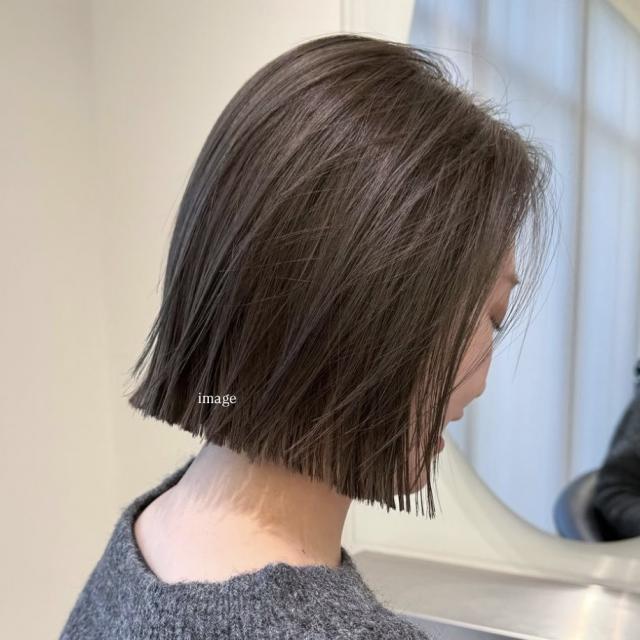 のスタイル画像