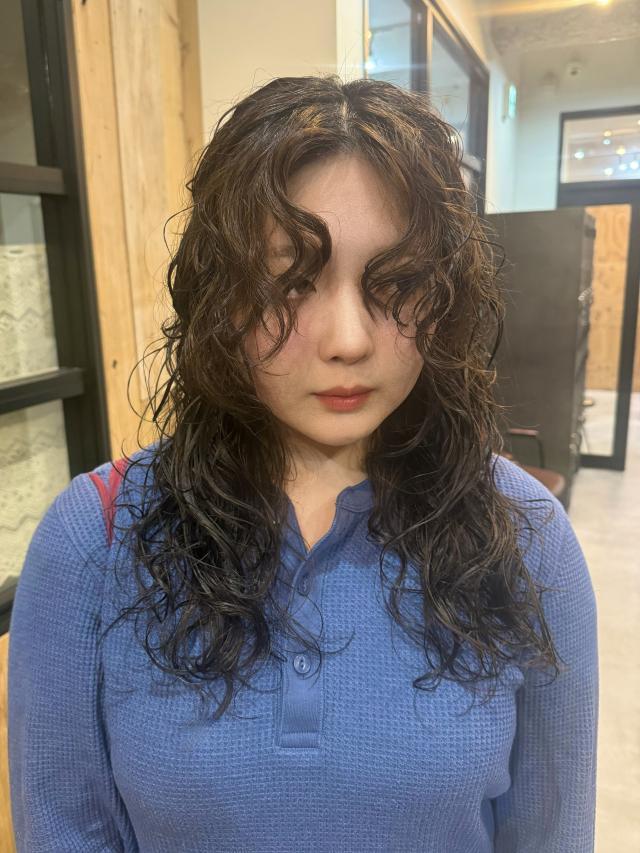 のスタイル画像