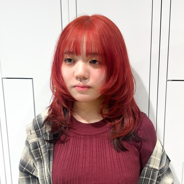 のスタイル画像