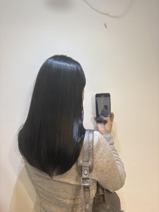 のスタイル画像