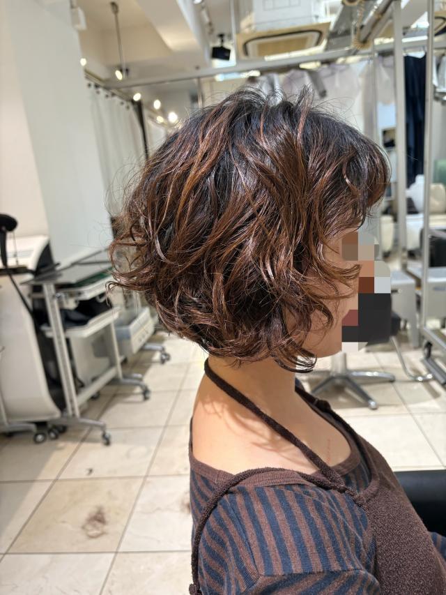 のスタイル画像