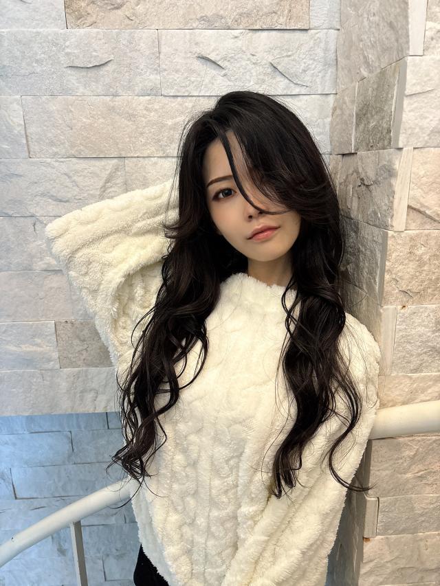 のスタイル画像