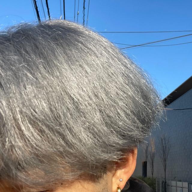 のスタイル画像