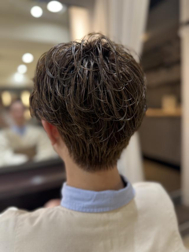 のスタイル画像