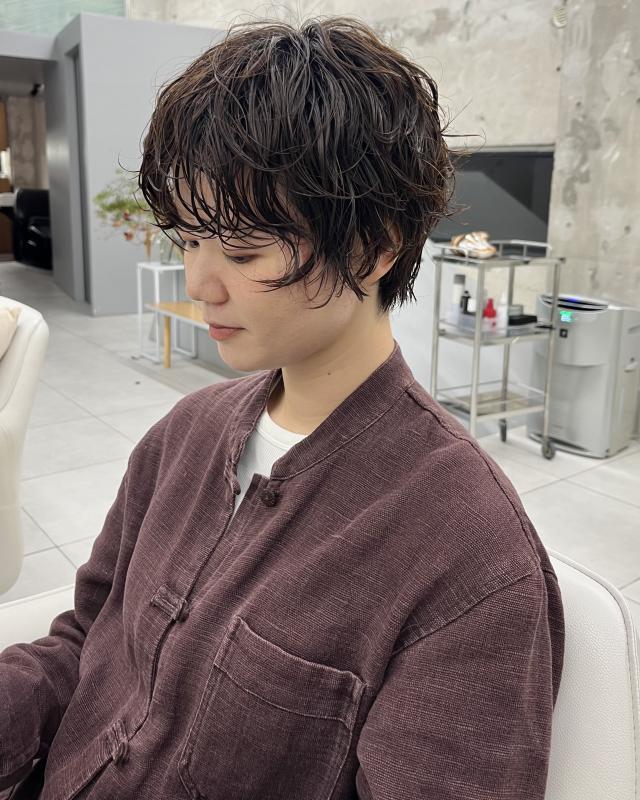 のスタイル画像