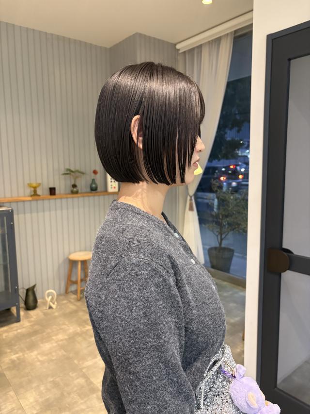 のスタイル画像