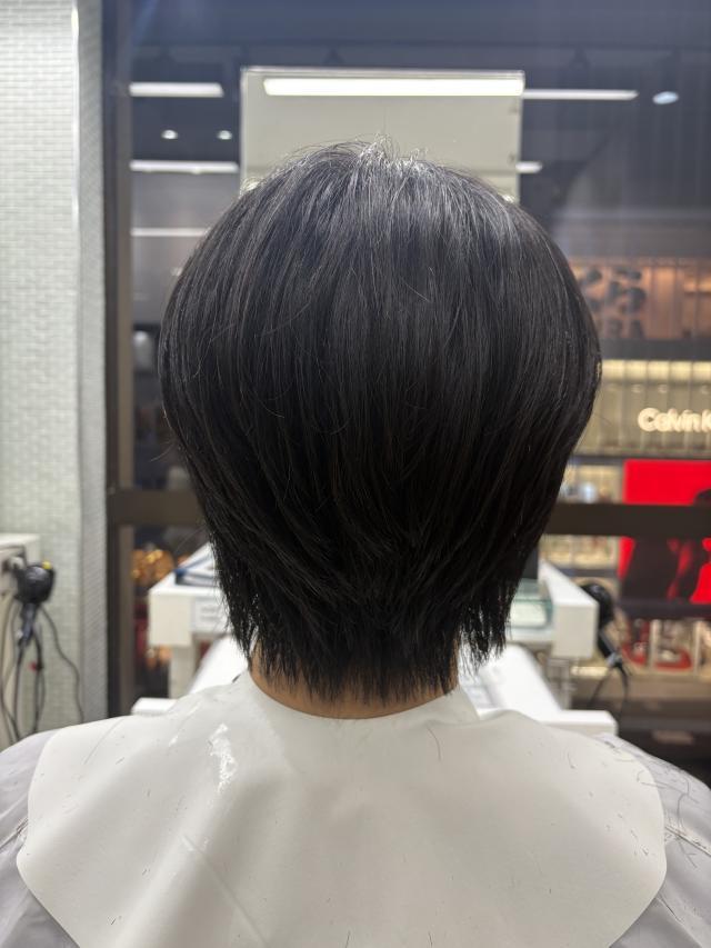 のスタイル画像